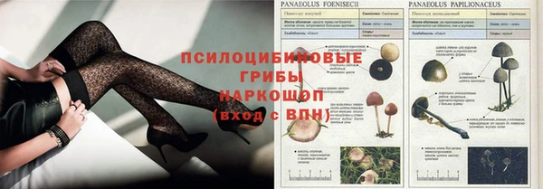 хмурый Богородск