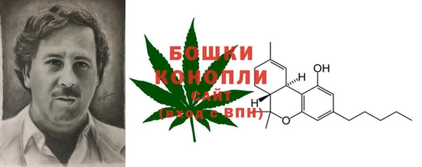 дживик Богданович