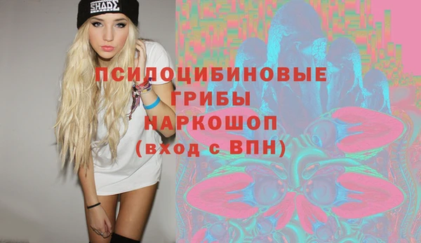 скорость Богородицк