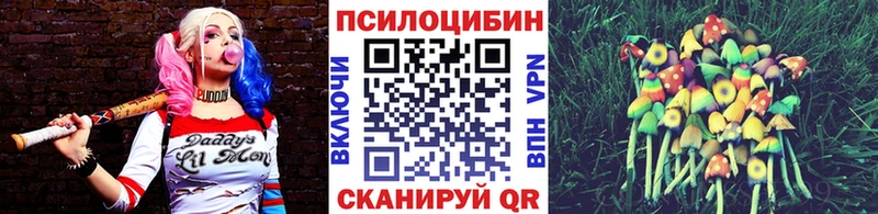 Псилоцибиновые грибы Psilocybe Вяземский