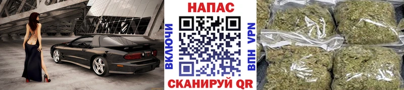 МАРИХУАНА SATIVA & INDICA  Вяземский 